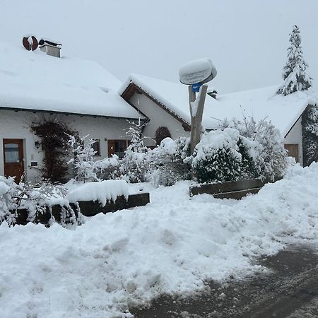 Appartamento Guggi`s Alm Dirlewang Esterno foto
